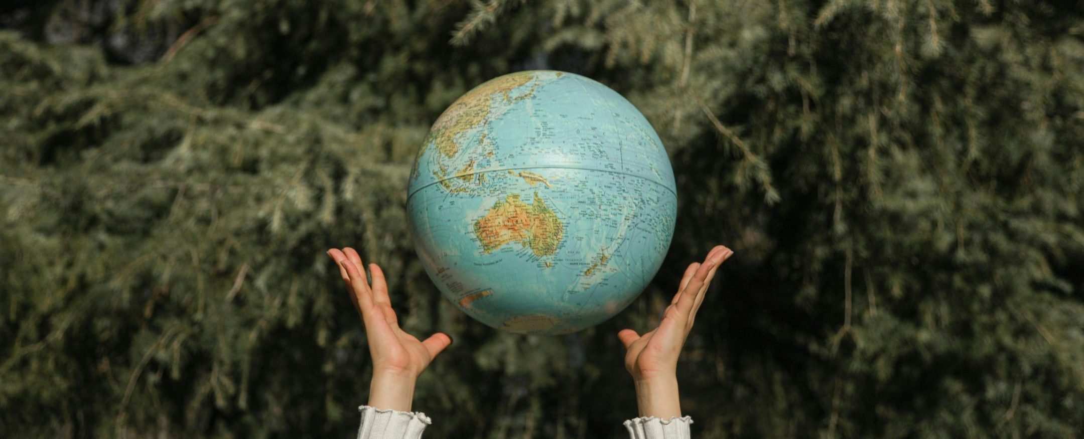 Your Wellness Routine Won’t Save the World – But This Might